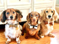 Load image into Gallery viewer, BOW TIE - BELLA ROSE
