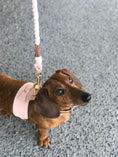 Load image into Gallery viewer, HARNESS - BELLA ROSE
