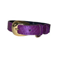 Load image into Gallery viewer, XS/S 7-14 Iridescent Purple Custom Snake Collar/Custom Gold Italian Hardware
