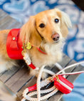 Load image into Gallery viewer, WASTE BAG HOLDER - MELTING HEARTS

