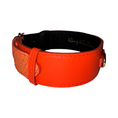 Load image into Gallery viewer, The Perfect Orange Classic Collar
