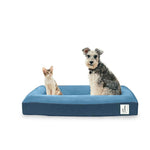 Deep Sleep Orthopedic Dog Bed Royal Blue: Medium: L33 x W25 x H6 (in)