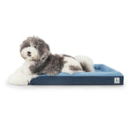 Deep Sleep Orthopedic Dog Bed Royal Blue: X-Large: L45 W35 H6 (in)