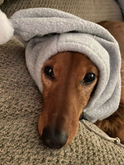 Heather Gray Pup Topper