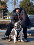Load image into Gallery viewer, The "Maximus" Dogs and pets silver harness

