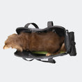 Load image into Gallery viewer, Dachshund Breezy Wanderer Fur-Free Pet Tote Bag
