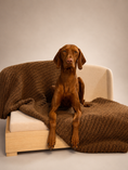 Load image into Gallery viewer, The Haven — Luxury Handcrafted Dog Bed | Solid Wood, Orthopedic, Waterproof lined
