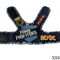 Load image into Gallery viewer, Foo Fighters Harness
