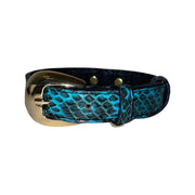 XS/S 7-14 Turquoise & Black Custom Snake Collar/Custom Gold Oval Italian Hardware