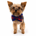 Load image into Gallery viewer, "Bunchie" Bow Scrunchie Collar
