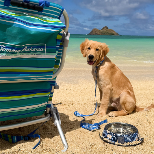 Tommy Bahama Pet - Collar & Leash Set