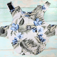 Load image into Gallery viewer, Tommy Bahama Pet - Frandy
