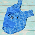 Load image into Gallery viewer, Tommy Bahama Pet - Frandy
