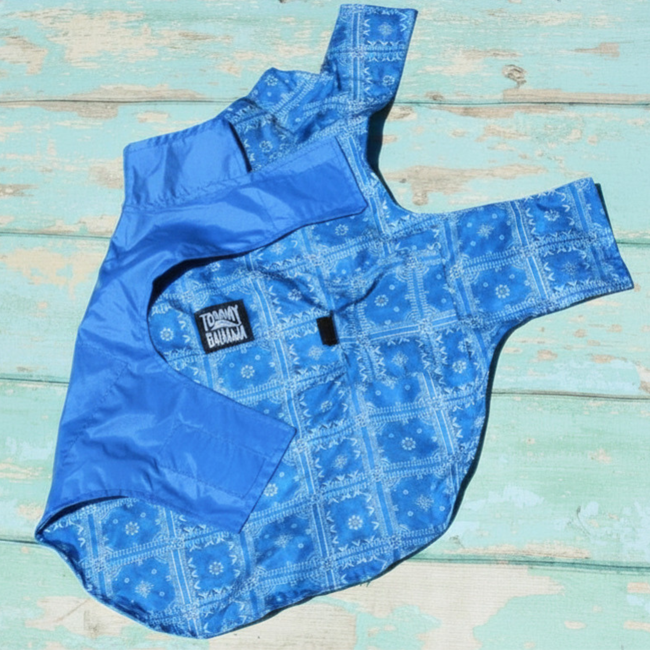 Tommy Bahama Pet - Frandy