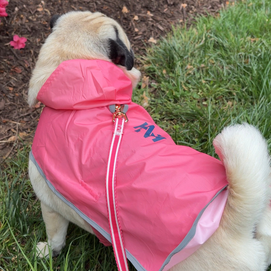 IZOD Pet - Packable Raincoat
