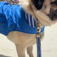 Load image into Gallery viewer, IZOD Pet - Collar & Leash Set
