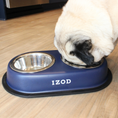 Load image into Gallery viewer, Izod Pet - Stainless Steel Double Feeder Bowl
