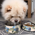 Load image into Gallery viewer, Tommy Bahama Pet - Double Insulated Stainless Steel Bowls
