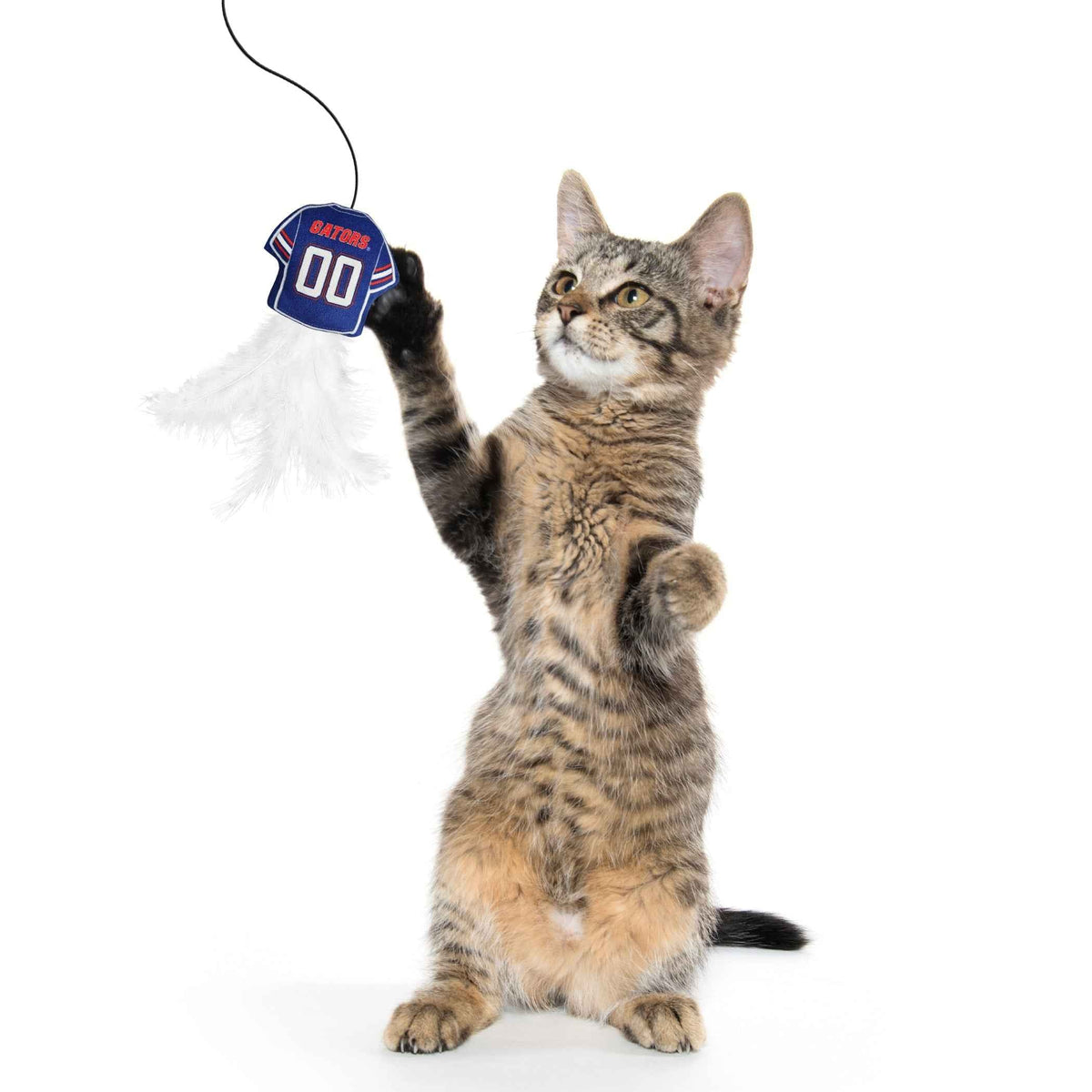 Florida Gators Team Jersey Wand With Catnip