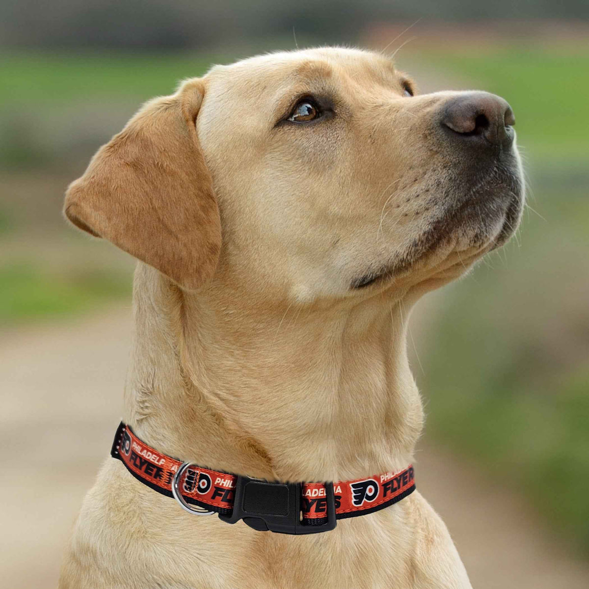 Philadelphia Flyers Satin Collar