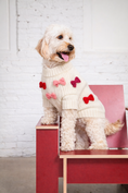 Load image into Gallery viewer, Found My Animal Bow Sweater - Red & Pink
