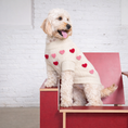 Load image into Gallery viewer, Found My Animal Heart 3D Icon Sweater
