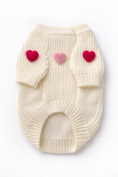 Load image into Gallery viewer, Found My Animal Heart 3D Icon Sweater - image 5
