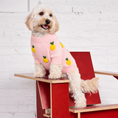 Load image into Gallery viewer, Found My Animal Lemon 3D Icon Sweater - image 3

