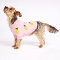 Load image into Gallery viewer, Found My Animal Lemon 3D Icon Sweater - image 4

