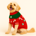 Load image into Gallery viewer, Found My Animal Peppermint Candy 3D Icon Sweater

