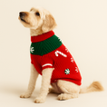 Load image into Gallery viewer, Found My Animal Peppermint Candy 3D Icon Sweater - image 5
