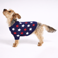 Load image into Gallery viewer, Found My Animal Star Sweater
