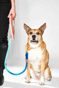 Load image into Gallery viewer, Sweet Pea Ombre Cotton Rope Dog Leash, Adjustable | Found My Animal
