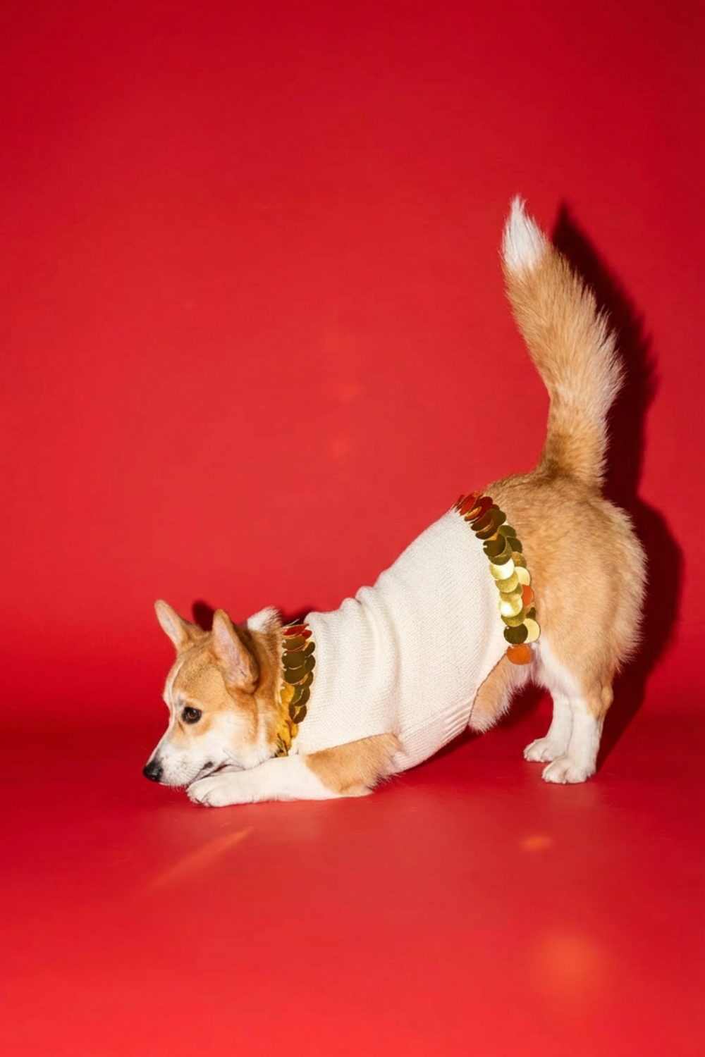 Fancy You Sweater - Southlake Paws