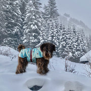 Bespoke Dog Coat/Raincoat Pattern Eco-Duvet