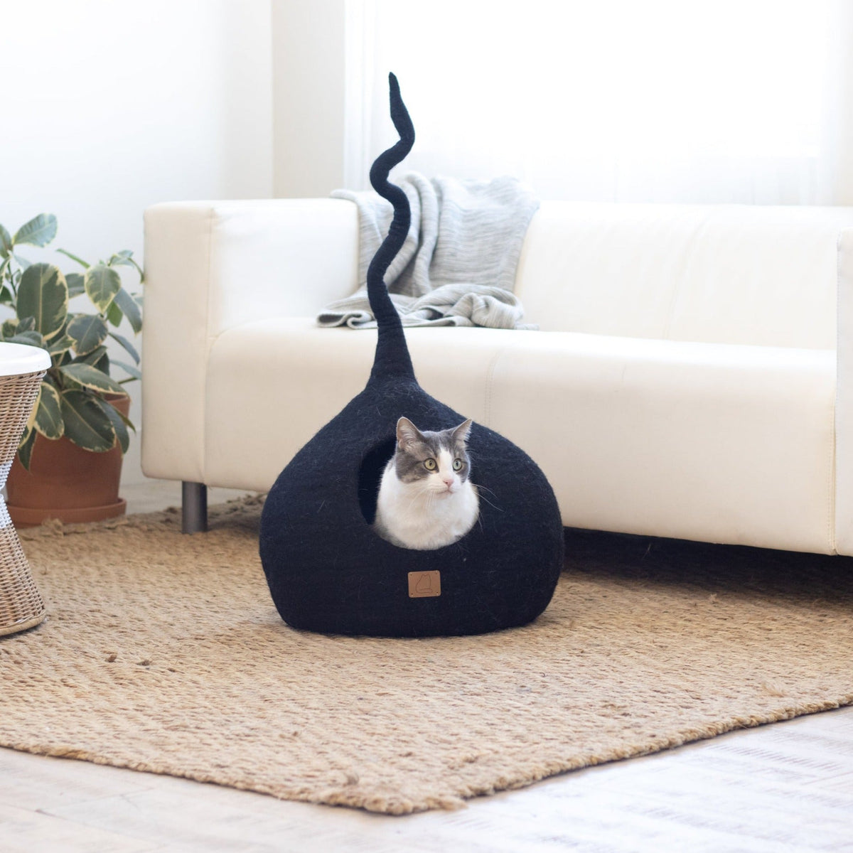 Night Black | Tail Style Cave