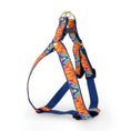 Load image into Gallery viewer, Feelin' Groovy Dog Harness
