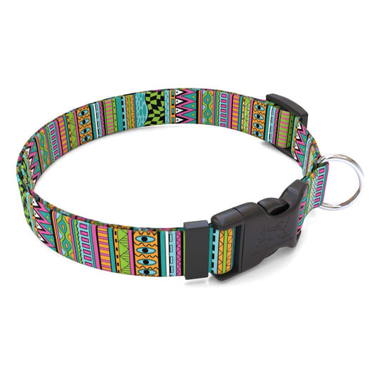 Personalized Festival Stripe Dog Collar