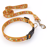 Festive Butterfly Orange Dog Collar