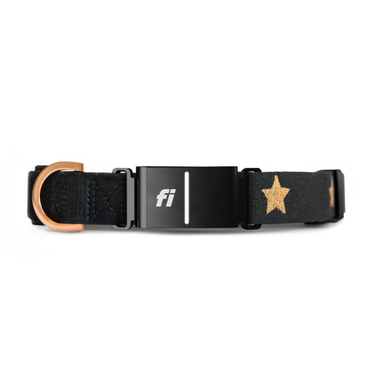 DOGISTRY The DOGISTRY x Fi Rockstar 3+ Collar Band