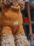 Load image into Gallery viewer, Eskimo Fuzzy Sweater - Green
