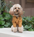 Load image into Gallery viewer, Ultralight Full covered hooded waterproof dog jacket - Yellow
