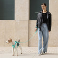 Load image into Gallery viewer, PADDED  ACTIVE  PET LEASH  - APRICOT
