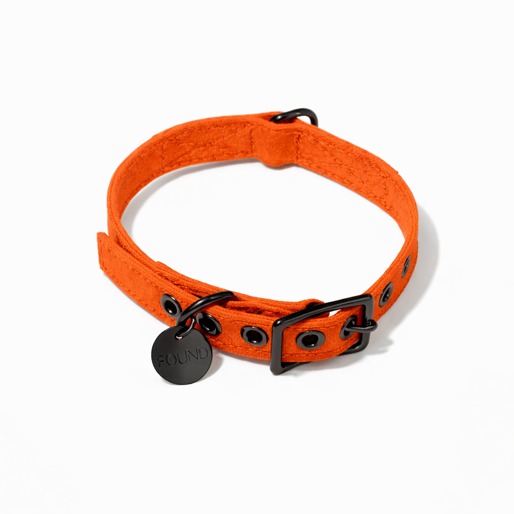 Fire Orange Waxed Cotton Canvas Cat & Dog Collar – Matte Black Hardware