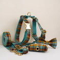 Load image into Gallery viewer, Autumn Blue Plaid Set
