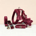 Load image into Gallery viewer, Red Wine Velvet Set
