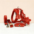 Load image into Gallery viewer, Red Velvet Set

