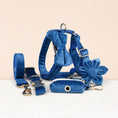 Load image into Gallery viewer, Blue Velvet Set
