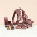 Load image into Gallery viewer, Dusty Pink Velvet Set
