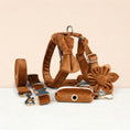 Load image into Gallery viewer, Ancient Pottery Velvet Set
